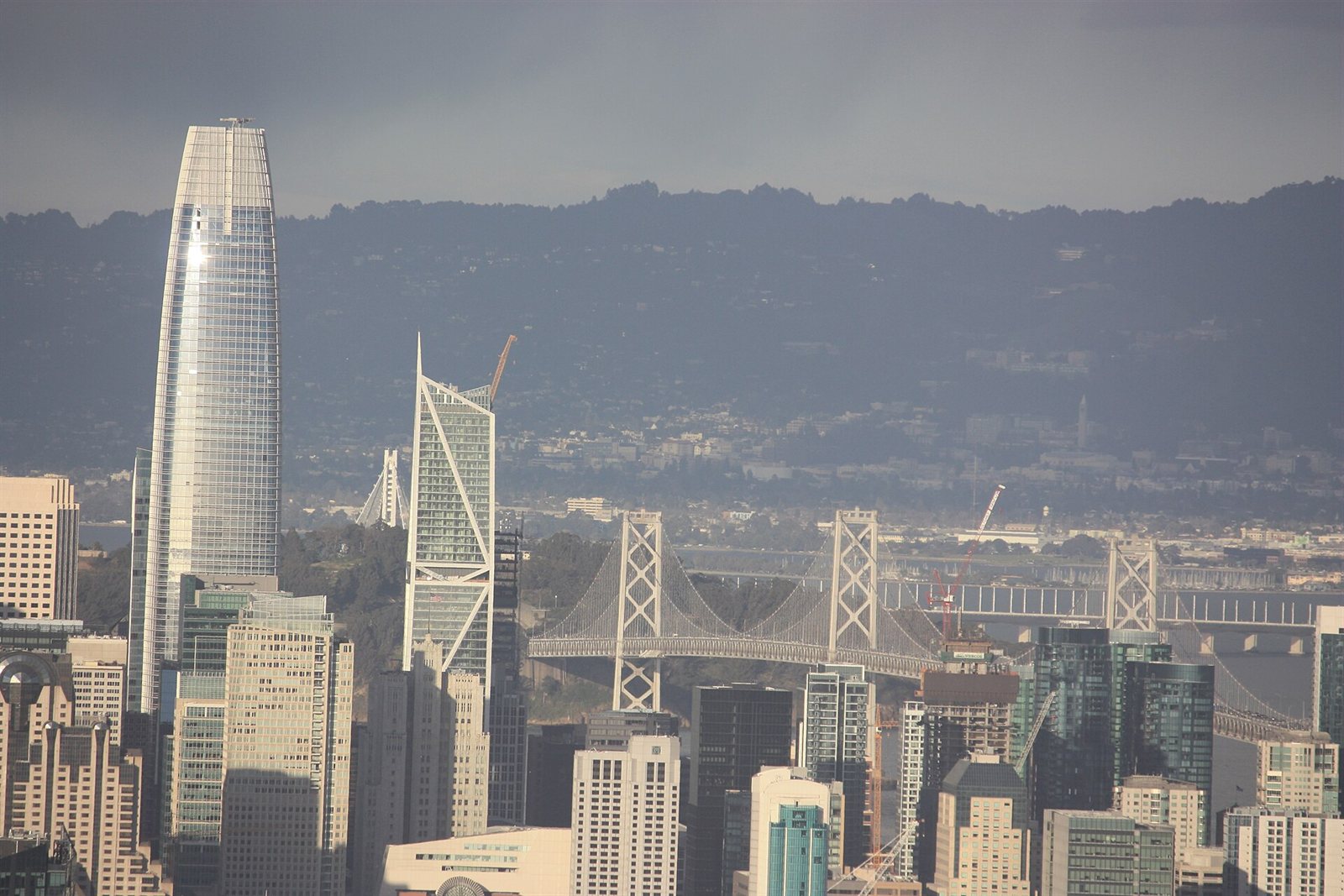Salesforce Tower rising above the San Francisco skyline, with the Bay Bridge behind
